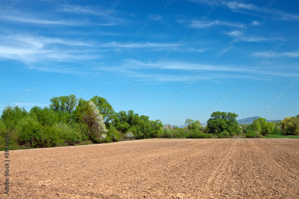 field for tillage