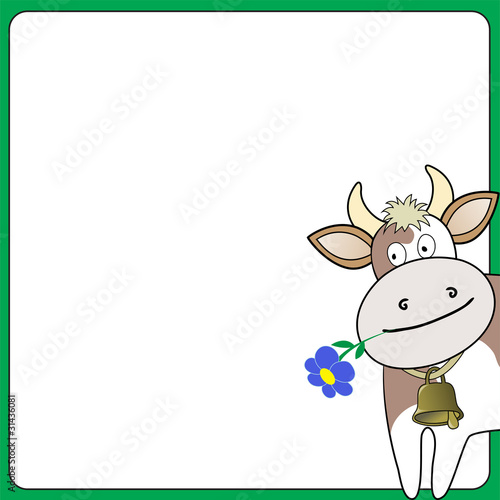 cow on a white square