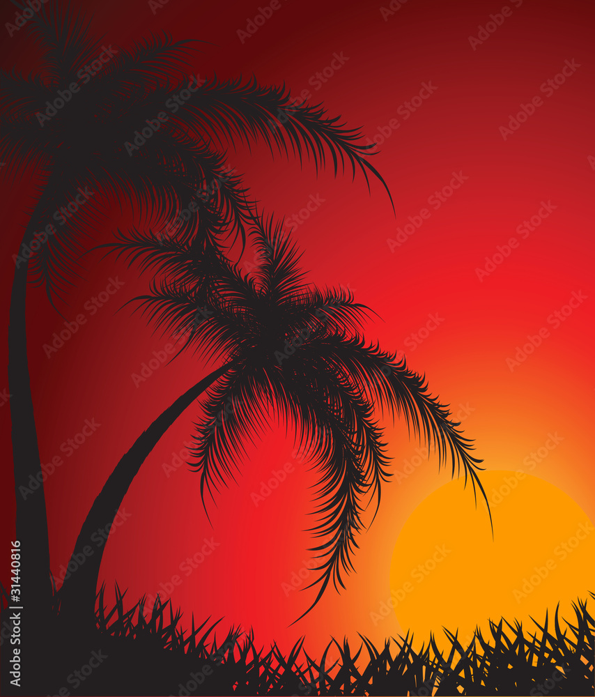 Silhouettes of palm trees against a decline