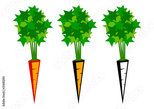 Carrot and parsley on a white background