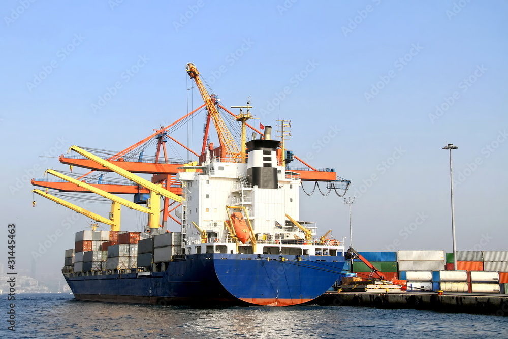 Container ship under cranes at harbor