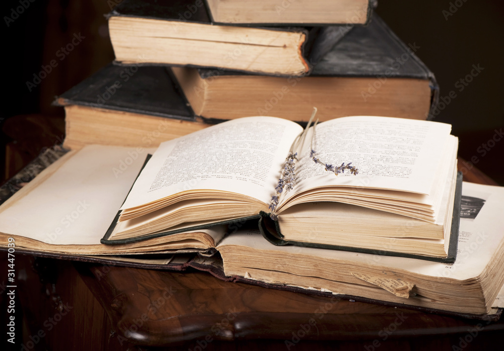 Obraz premium Old books