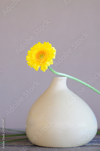 gerbera jaune, décoration