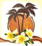 Summer tropical background with frangipani (plumeria) flowers