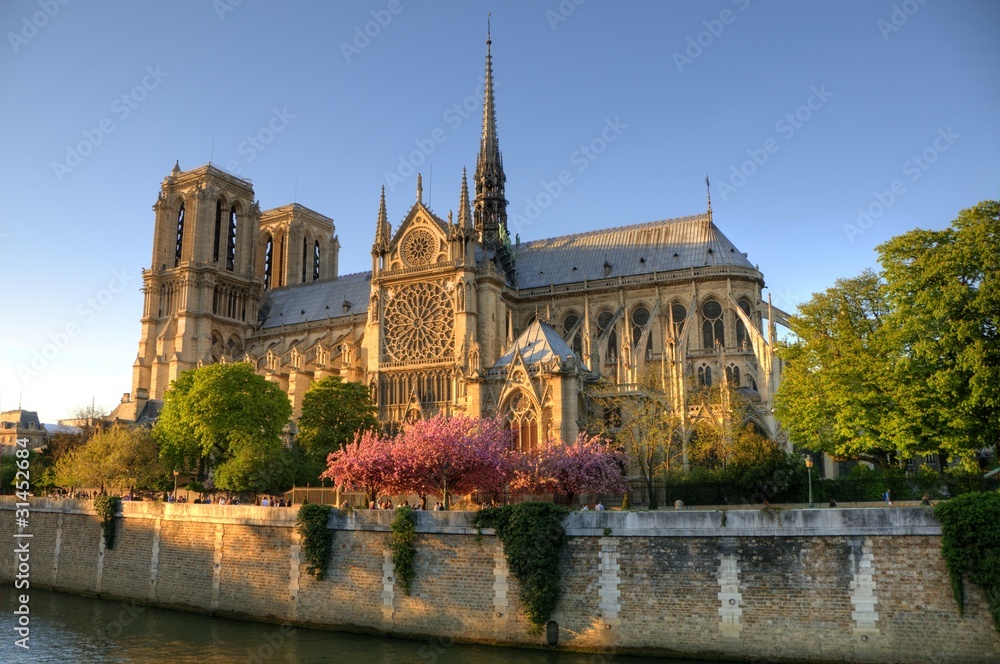 Naklejka premium Paryż (Francja) - Katedra Notre Dame