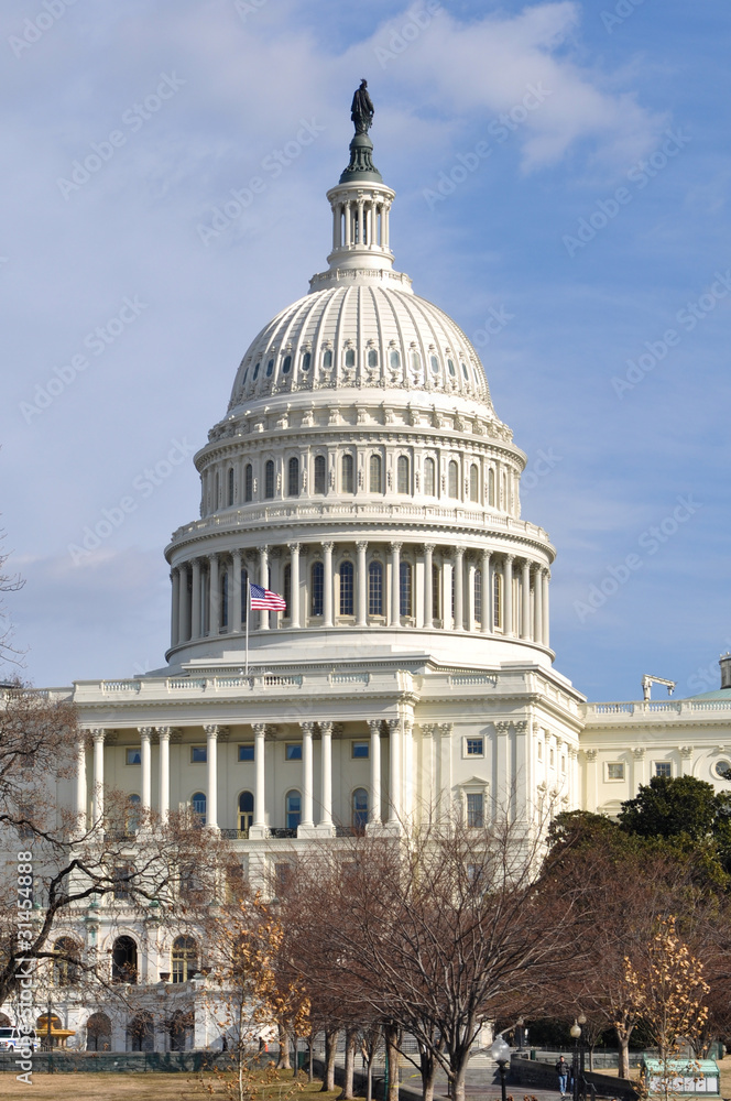 Obraz premium Washington DC United States Capitol in Winter
