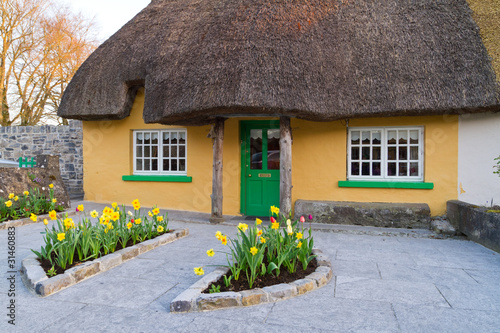 Irish traditional cottage house #31460883