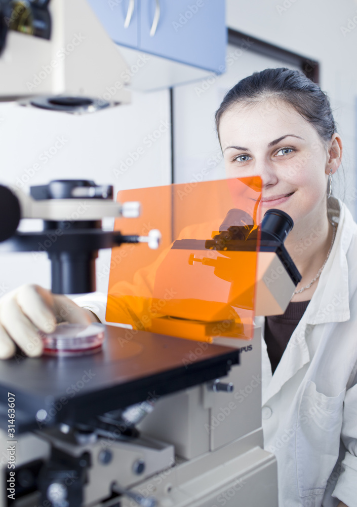 portrait of a female researcher doing research in a lab portrait of a female researcher doing research in a lab
