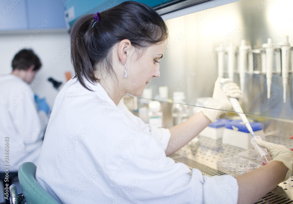 portrait of a female researcher doing research in a lab portrait of a female researcher doing research in a lab