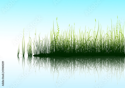 Green grass with reflection in water