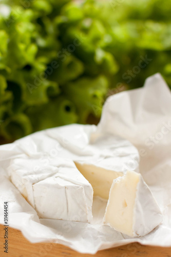 Slice of camambert cheese