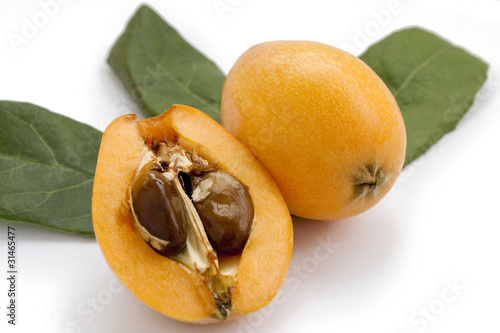 Loquat
