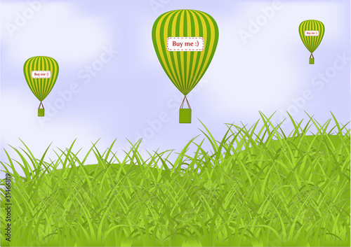 vector balloons on  meadow