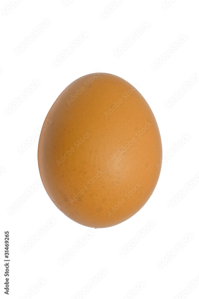 Chicken's egg white isolated Chicken's egg white isolated