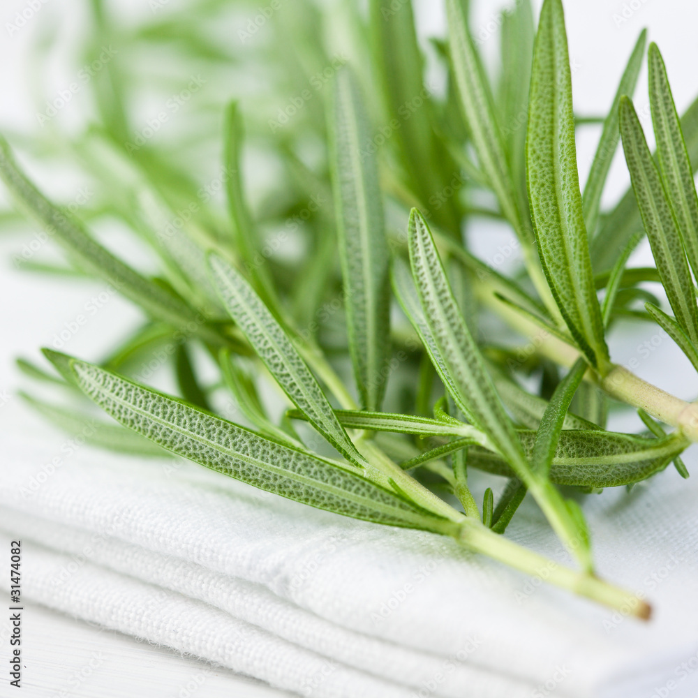 Obraz premium Rosemary