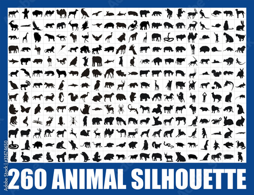 260 animal silhouette