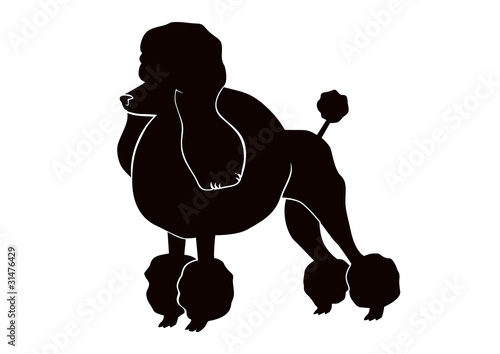 poodle silhouettes