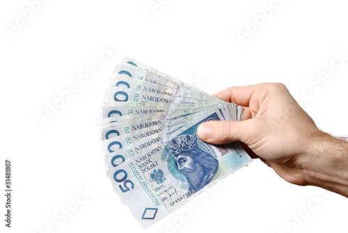 A lot of polish money isolated on white