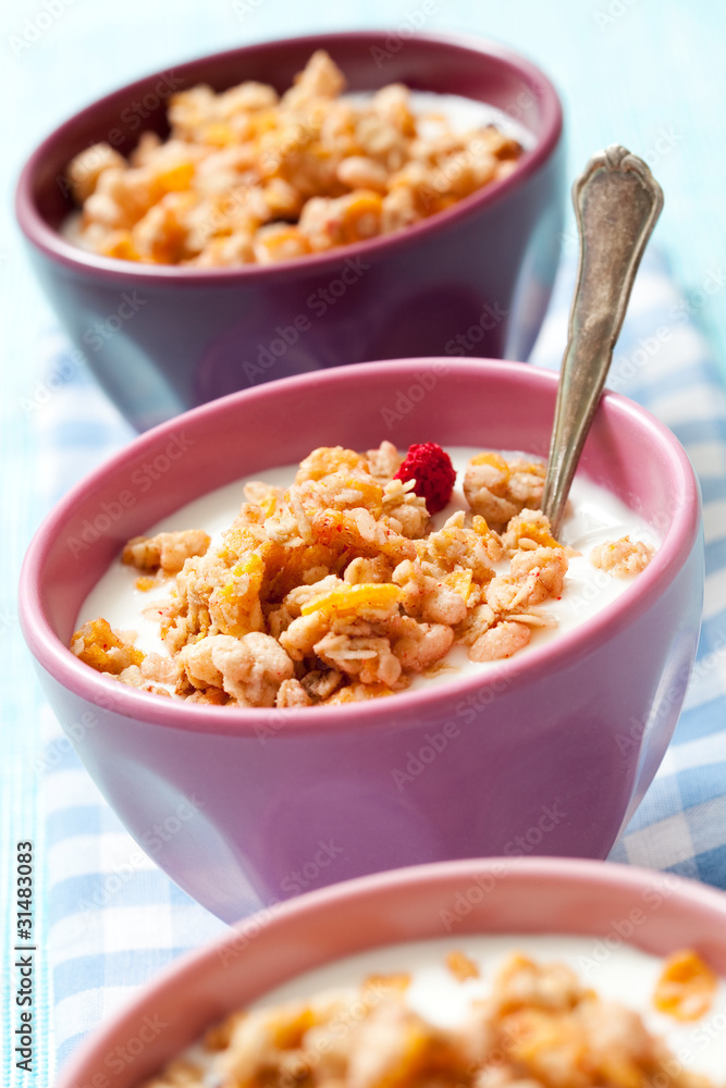 Breakfast cereal Breakfast cereal