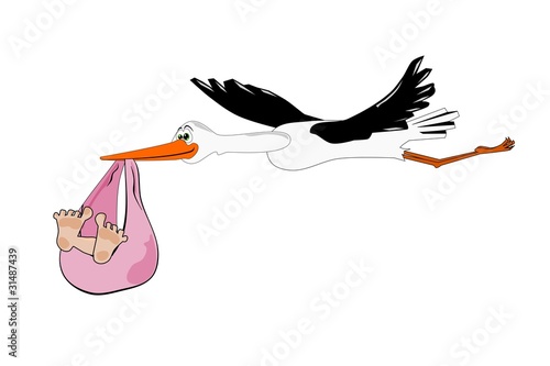 Stork with baby