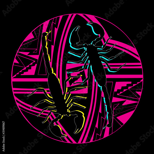 scorpion vector