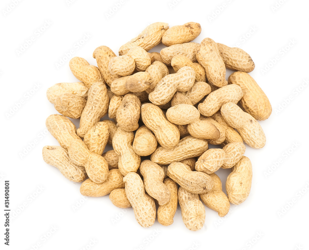 Peanut Peanut