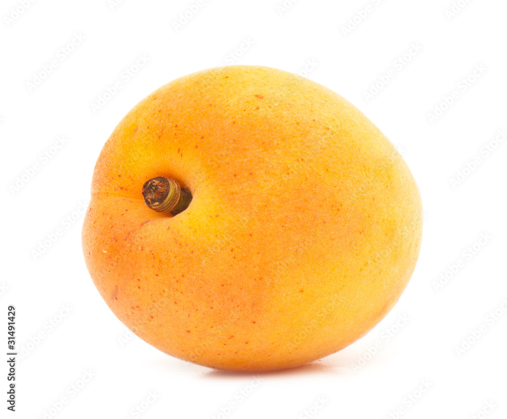 apricot apricot