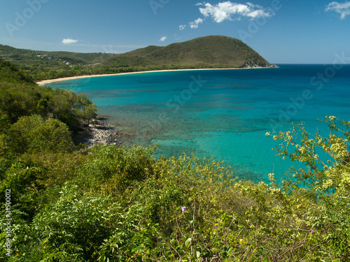 Crique et mer turquoise, Guadeloupe