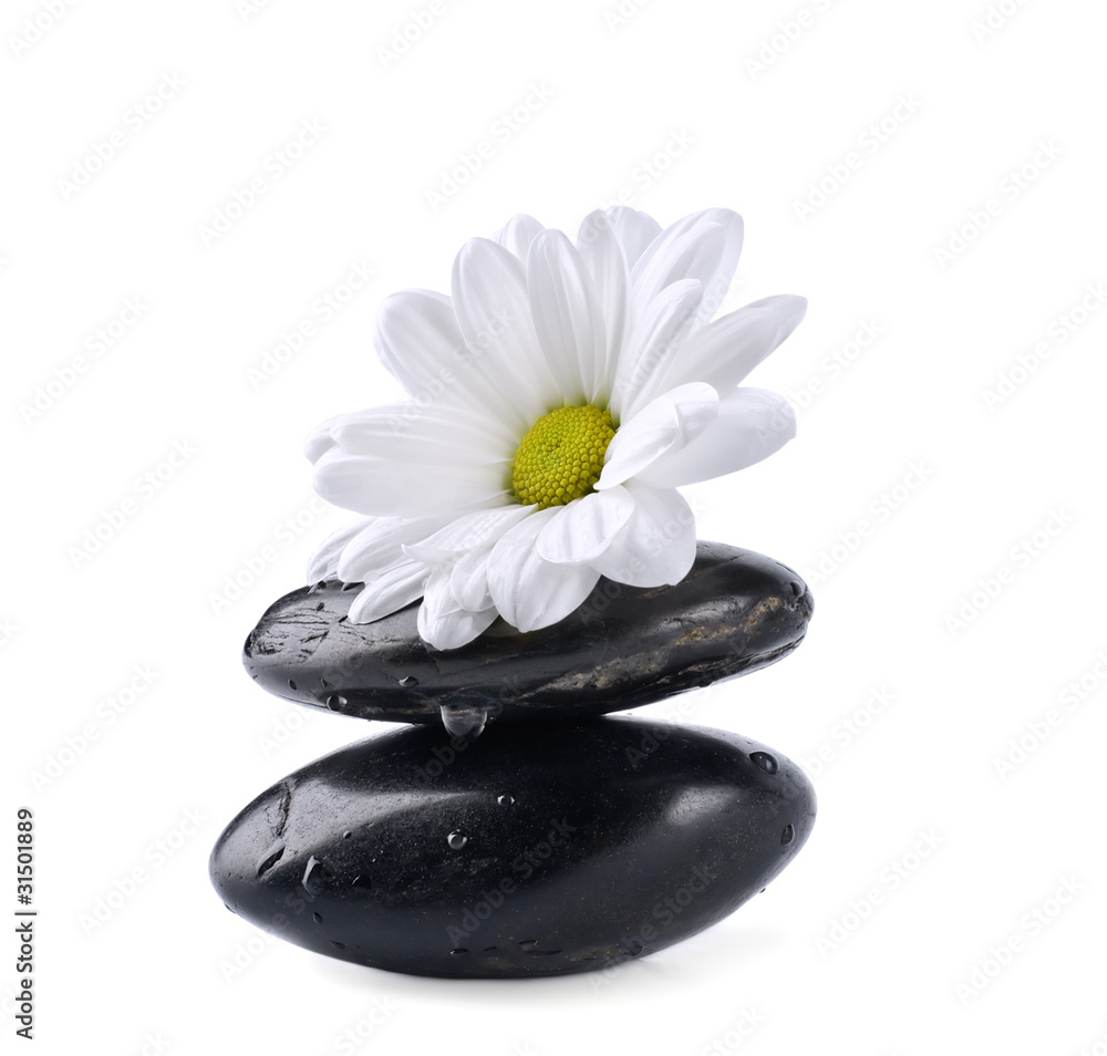 Stones and flower Stones and flower