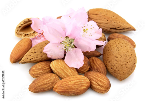 Almond with flowers