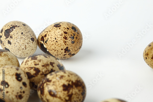 quail egg background