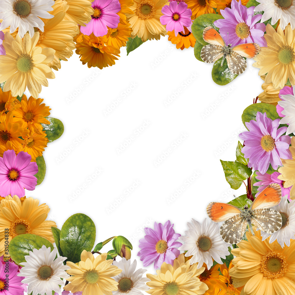 Flower frame with space for copy or photo Flower frame with space for copy or photo