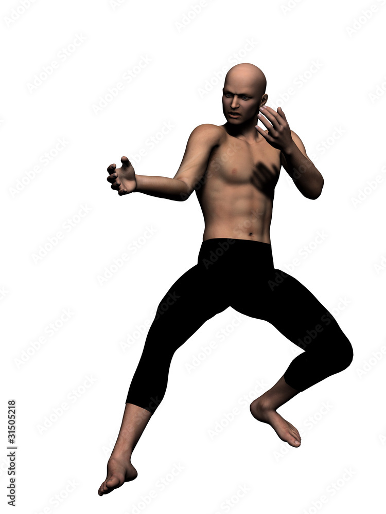 Kung Fu fighter