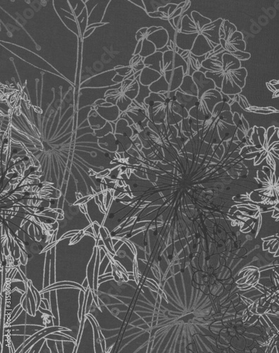 Wallpaper Mural Graminées et fleurs en gris et blanc; Torontodigital.ca