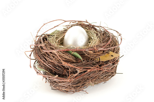 Shiny egg in nest isolated on white
