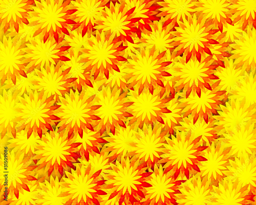 field of flowers field of flowers