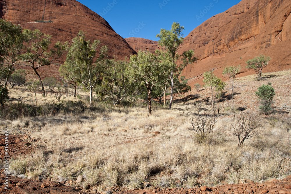 Colors of Australian Outback during Winter Season