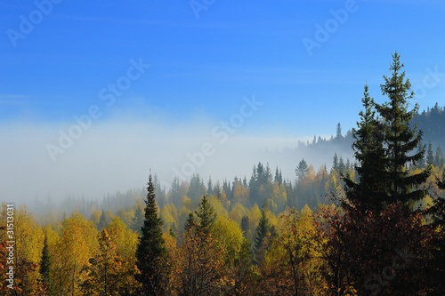 Утренний туман в уральских горах © alexstr