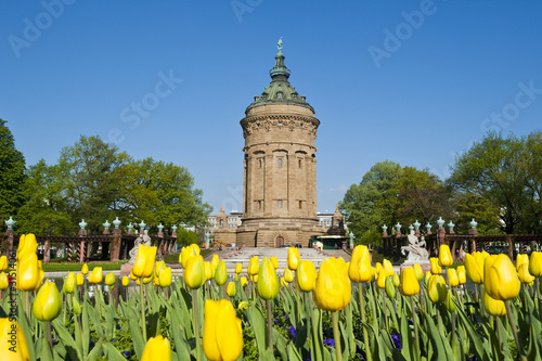 Wasserturm Mannheim