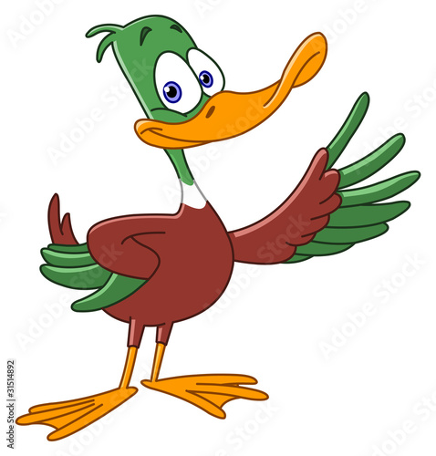 Duck