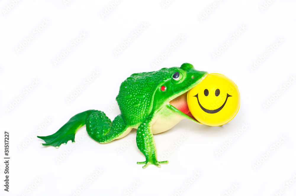 Fototapeta premium Happy smiley