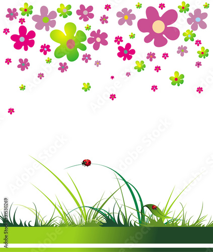 Summer background with flowers and ladybird