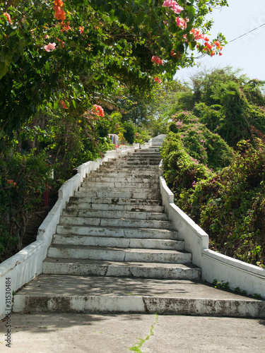 Escalier fleuri  baie des Saintes  Guadeloupe