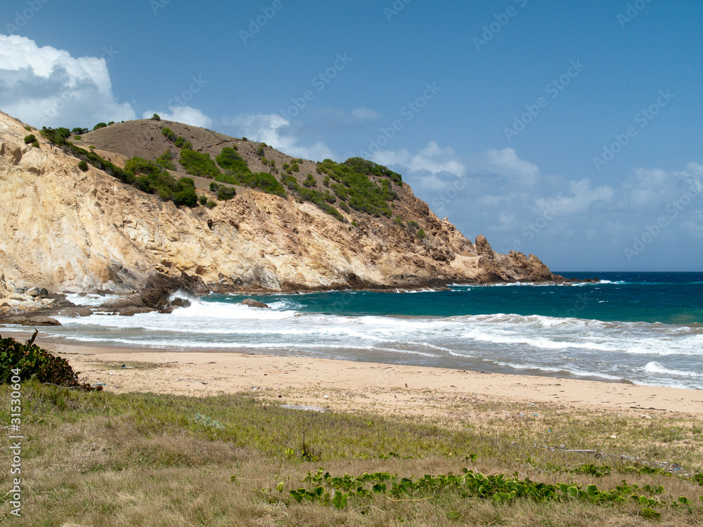 Plage et falaise de grande Anse aux Saintes, Guadeloupe