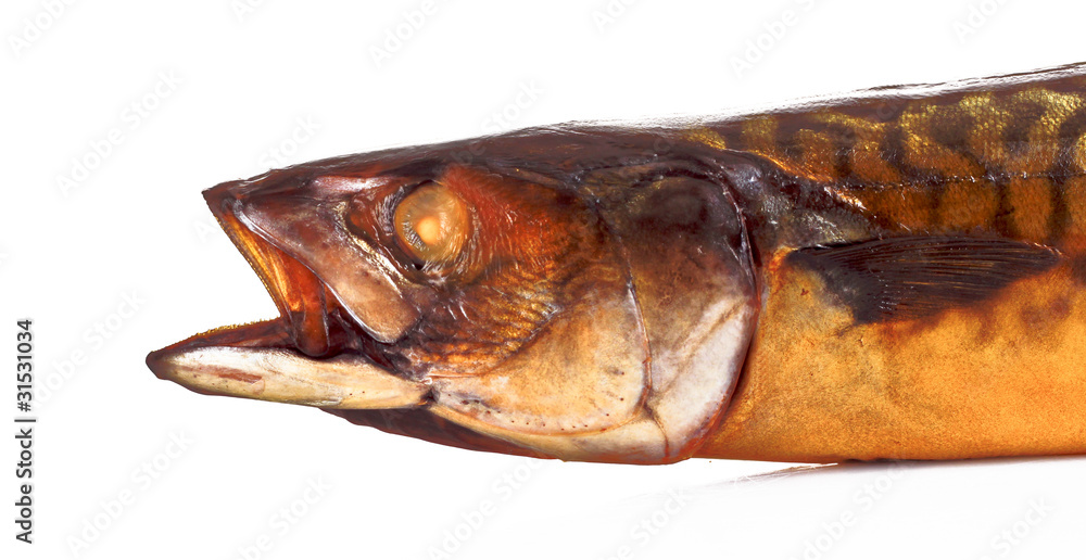 Smoked Mackarel isolated on white Smoked Mackarel isolated on white