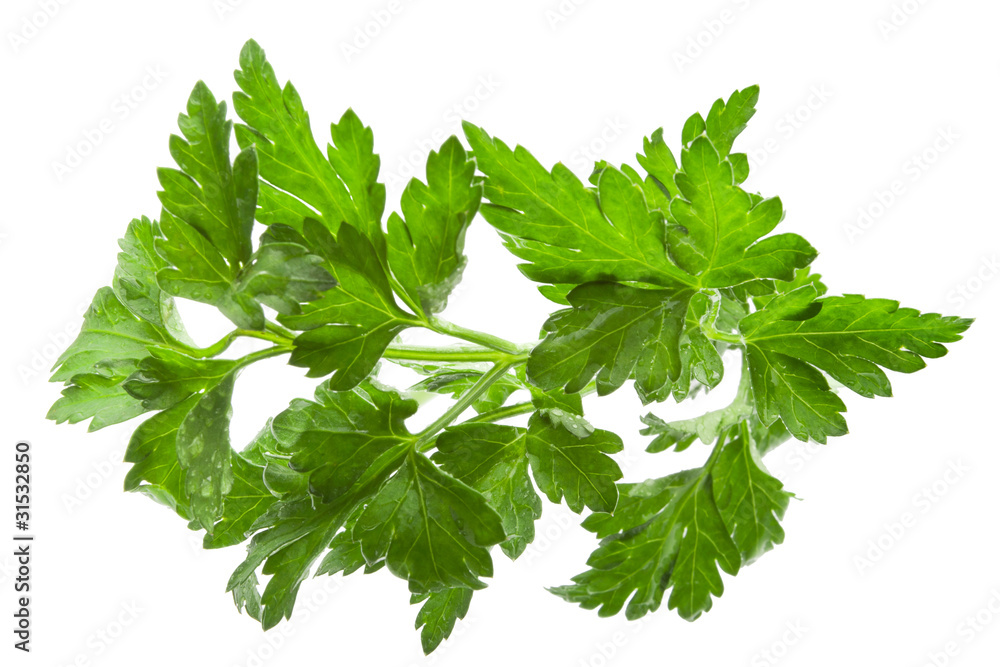 parsley parsley