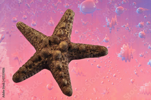 Obraz na plátně Starfish of brown color