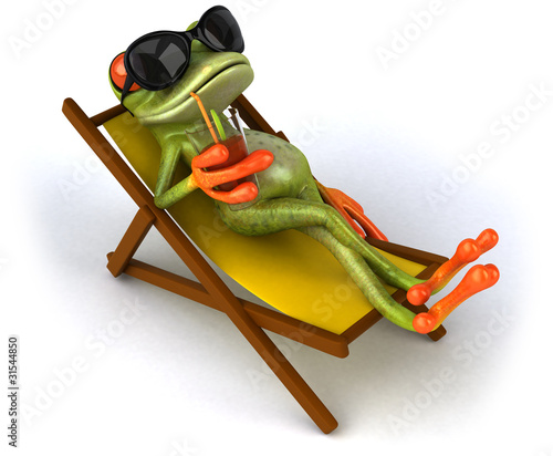 Grenouille et chaise longue