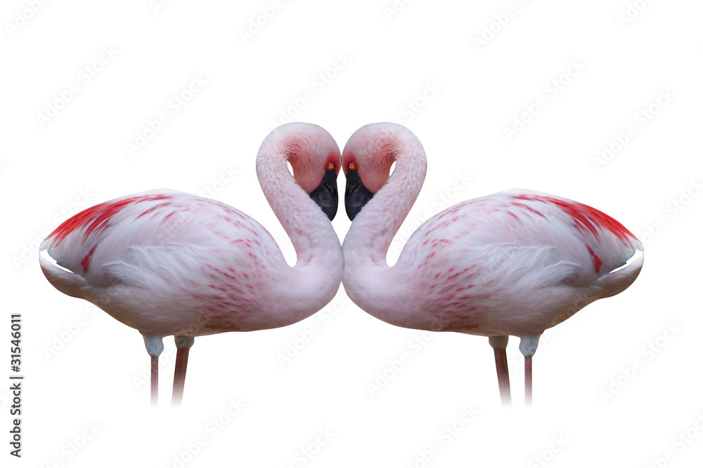 Fototapeta premium ハート