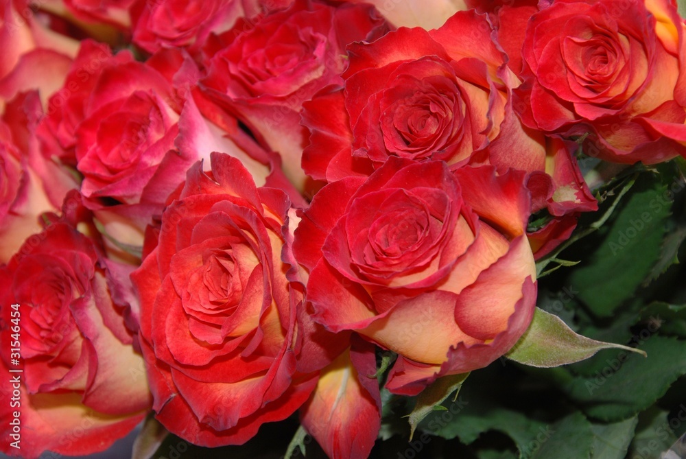 bouquet di rose